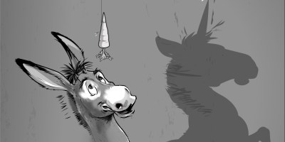 Donkey Developer, Unicorn Engineer book cover