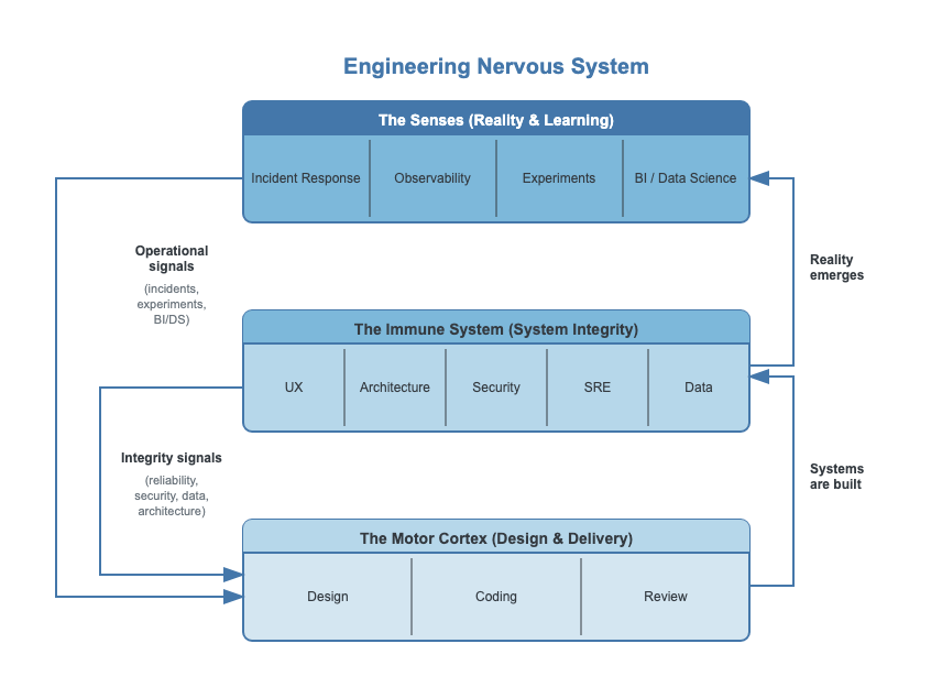 Engineering Nervous system diagram